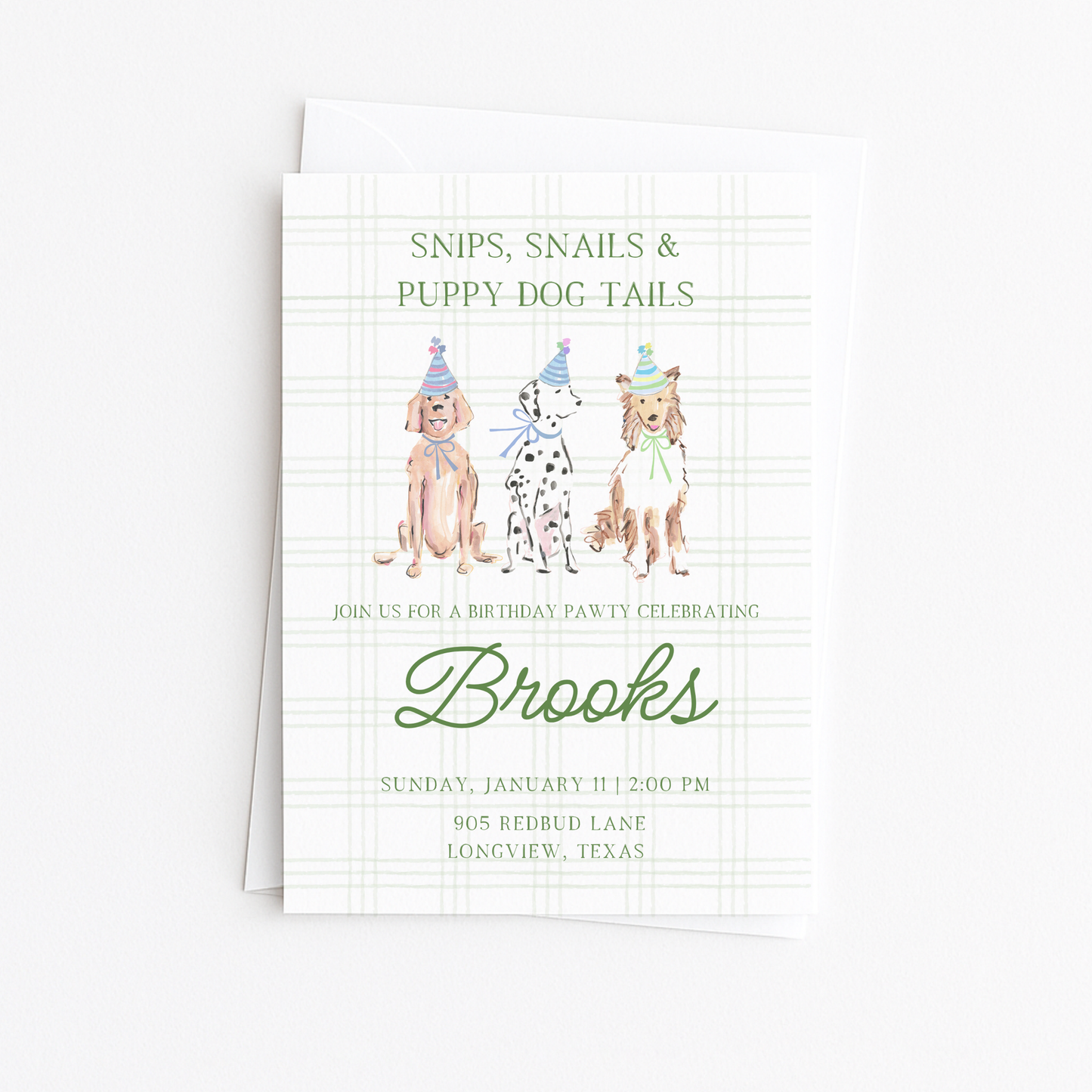 Snips, Snails, & Puppy Dog Tails Invitation - Green