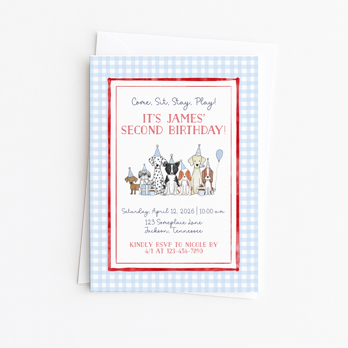 Gingham Puppy Pawty #1
